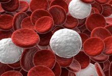 خلايا الدم البيضاء والحمراء